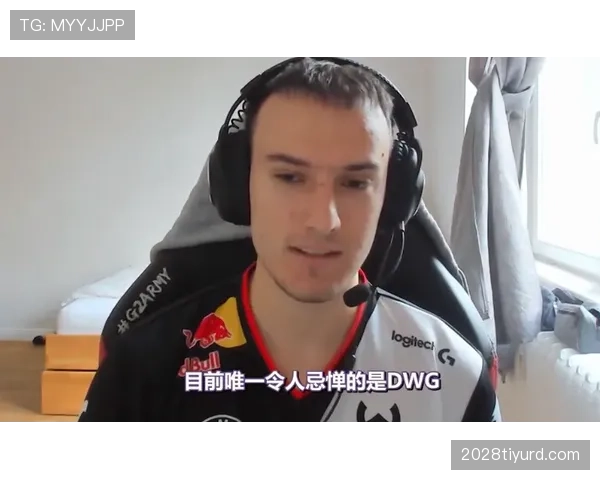萨卡稳定性是否被高估？