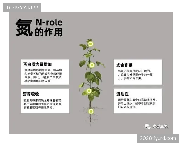 卡马文加如何影响球队中场节奏：限制因素与作用机制深度解析
